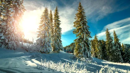 Anul Nou începe cu temperaturi blânde! Cum va fi vremea în ianuarie?