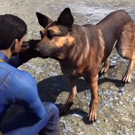 Fallout 4 – câinele Dogmeat şi secretele percepţiei