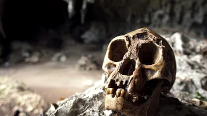 Un studiu prezintă noi dovezi despre dispariția „oamenilor hobbit”: Povestea misterioasei specii umane