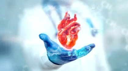 Pentru prima dată în lume, a fost implantată o pompă cardiacă cu membrană ondulată