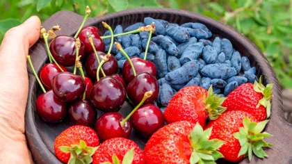 Ce merită să pui în coș în această perioadă: șapte produse de sezon pe care nu trebuie să le ratezi