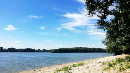 Poluare pe Dunăre, în zona portului Turnu Măgurele. Anunțul făcut de Apele Române!