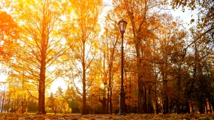 Cum va fi vremea în următoarele patru săptămâni? Iată prognoza ANM până la începutul lui septembrie!