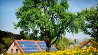 Inginerii au creat lemnul care oferă energie solară chiar și noaptea