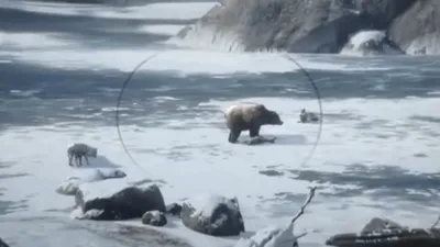 VIDEO: Momentul impresionant când un urs fură prada lupilor, surprins în RDR 2