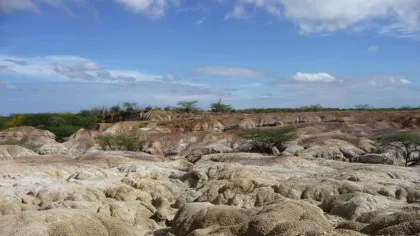 Fosilele de Anaconda arată de ce sunt acești șerpi atât de mari