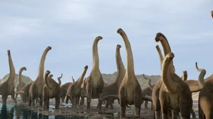 Infecții osoase misterioase au decimat dinozaurii giganți din Brazilia, indică fosilele