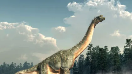 Noi reconstrucții 3D arată că sauropodele „dădeau din coadă” la fel ca un câine