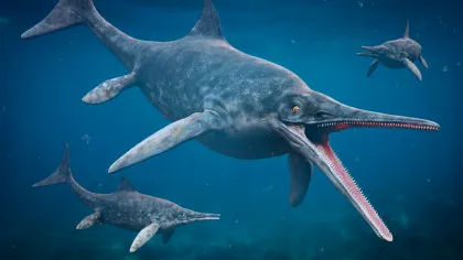 O reptilă preistorică „de mărimea unui delfin” a fost găsită pe „Coasta Jurasică”