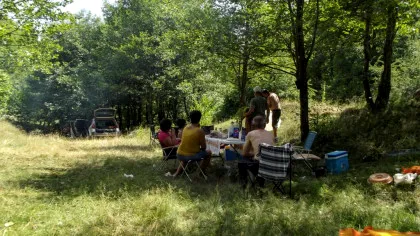 Petrecăreții de 1 mai au distrus aproape jumătate dintre arborii plantați într-o zonă din Oradea