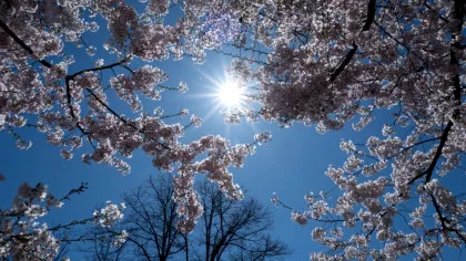 Prognoza actualizată de la ANM: Cât de caldă va fi vremea și unde va ploua?