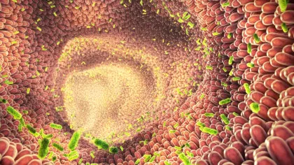 Microbii intestinali ne-ar putea proteja de „chimicalele veșnice”