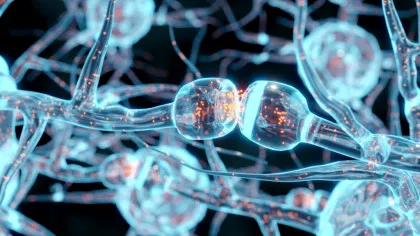 Oamenii de știință au dezvoltat o nouă metodă de a „asculta” limbajul ascuns al creierului