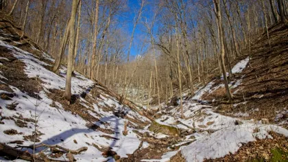 Cum va fi vremea în martie? Prognoza anunțată de ANM