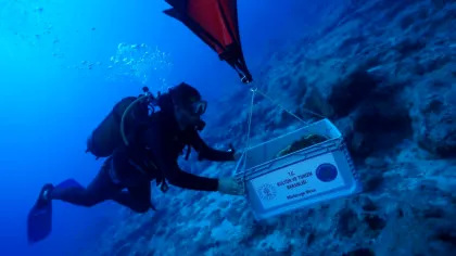 Un naufragiu vechi de 4.500 de ani ar putea rescrie istoria navigației. Descoperirea făcută în largul Turciei