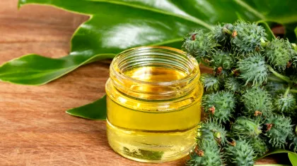 Uleiul de ricin: ce beneficii sunt cu adevărat susținute de știință?