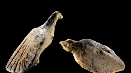 Ce dezvăluie două figurine din fildeș, vechi de 40.000 de ani, despre arta din Era Glaciară?