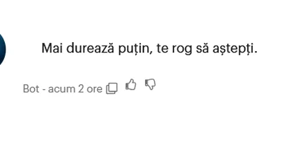 OPINIE Am testat asistentul virtual ANA al celor de la ANAF / Ne-a pus să așteptăm