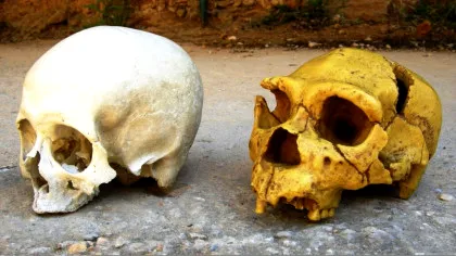 Cum continuă neanderthalienii să ne influențeze chiar și în ziua de astăzi?