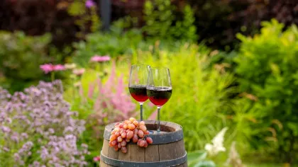 Vinul românesc, apreciat la nivel internațional, dar fară o strategie coerentă pe plan național