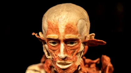 Cât ai putea pierde din corp și, totuși, să supraviețuiești?