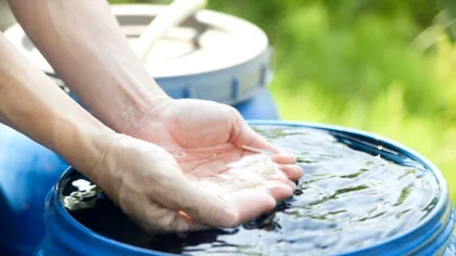 Test de cultură generală. Apa de ploaie este bună de băut?