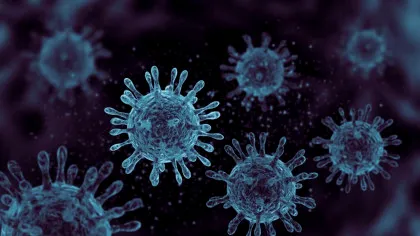 Oamenii de știință au descoperit un virus gigantic care se reproduce într-un mod complet unic