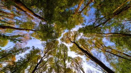 Avertisment: Ce s-ar întâmpla dacă Marea Britanie ar renunța la angajamentele climatice?