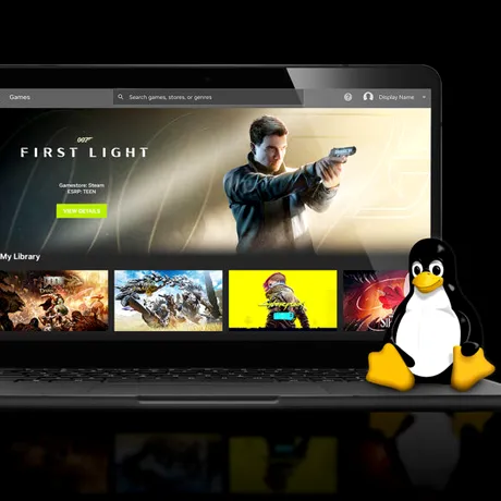 GeForce Now îmbunătățește experiența de gaming pe Linux și Chromebook