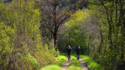 De ce ne simțim mai bine în natură: efectele asupra corpului și minții