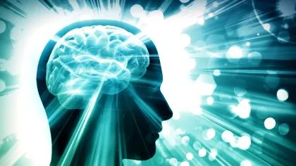 Creierul bărbaților versus creierul femeilor: Care sunt diferențele?