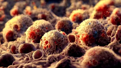 Oamenii de știință programează bacterii pentru a devora tumorile canceroase