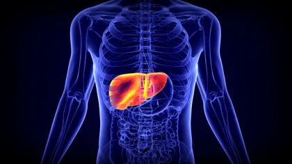 (P) Enzime hepatice și rolul lor în evaluarea funcției ficatului
