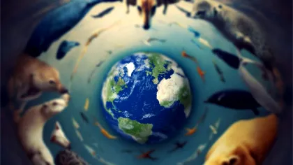 Criza climatică, la firul ierbii: Cum s-au schimbat viețile oamenilor din SUA