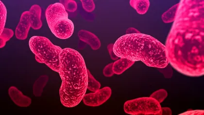 Un virus antic devine rapid rezistent la antibiotice, avertizează oamenii de știință