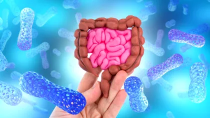 O proteină specială din intestinul tău duce o bătălie grea împotriva bacteriilor