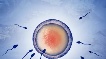 Alergia la spermă: motivul extrem de rar pentru care o femeie nu poate rămâne însărcinată