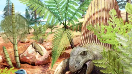 Cea mai veche vomă fosilizată dezvăluie victimele unei vânători vechi de 290 de milioane de ani