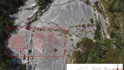 Alpiniști din Italia au descoperit accidental urmele unui „maraton” de acum 80 de milioane de ani