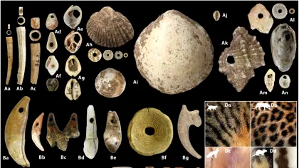 Mărgelele de lut vechi de 15.000 de ani ar putea dezvălui originile agriculturii