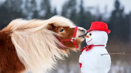 MESAJE DE CRĂCIUN 2025. Urări speciale pentru prieteni, rude sau colegii de la serviciu