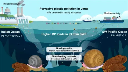 Microplasticele ajung chiar și la 2.000 de metri sub suprafața oceanului, arată un nou studiu