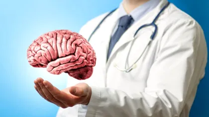 Creierul ar putea prezice interacțiunile sociale înainte ca acestea să se întâmple