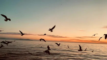 Oamenii de știință au creat tornade de foc gigantice care ar putea salva oceanele