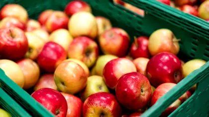 „Cocktailuri de pesticide” au fost descoperite în merele vândute în Europa