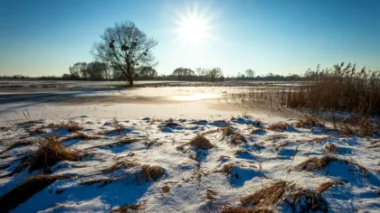 Vremea se schimbă dramatic! Anunțul făcut de meteorologi
