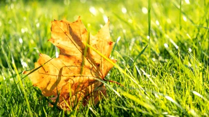 Cum va fi vremea în septembrie? Meteorologii anunță că nu scăpăm de căldură