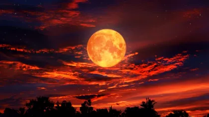 Cea mai spectaculoasă noapte astronomică din această vară