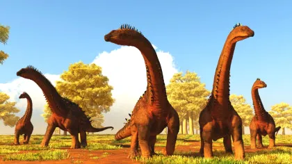 Dinozaurul de aproape 20 de metri descoperit pe un șantier din Brazilia. Legătura surprinzătoare cu Europa