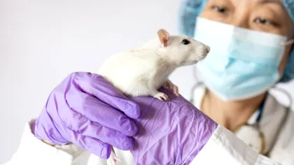 Un tratament a prelungit viața cu 73%, arată un nou studiu